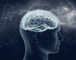 The Thinking/Acting Brain